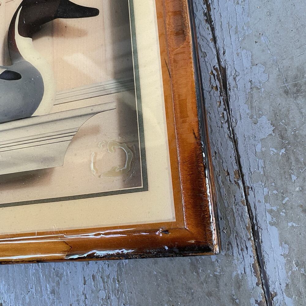 Vintage Decoy Duck On Shelf Lithograph Art Print On Wood White A Canada Coin - Picture 7 of 7